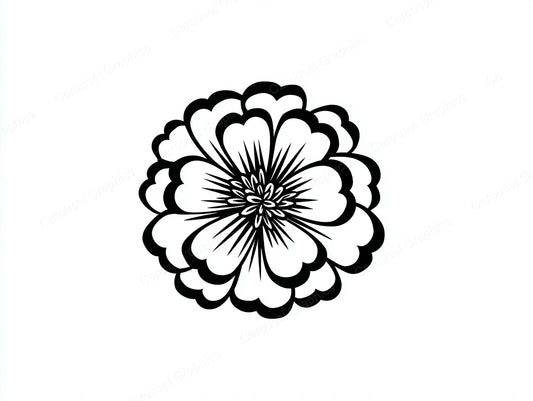 Marigold Vector Graphic preview