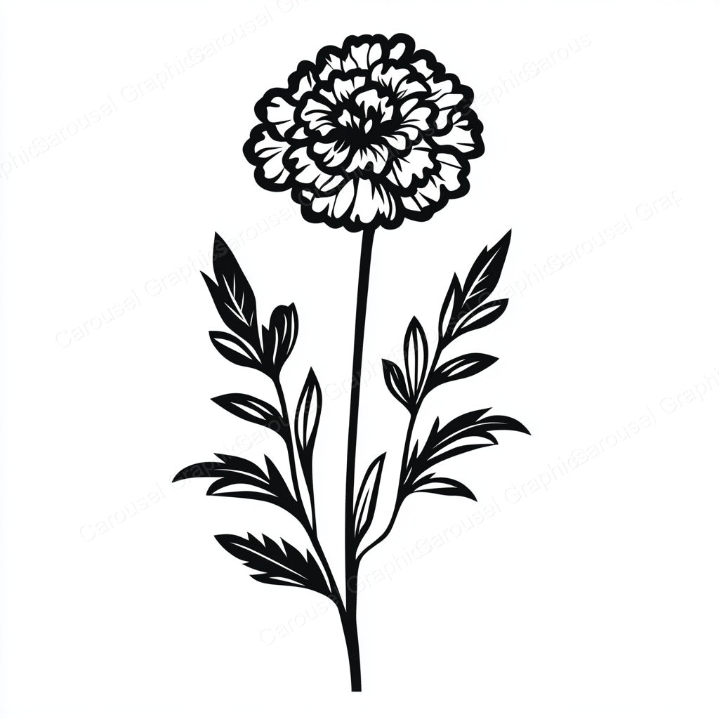 Marigold Vector Graphic preview