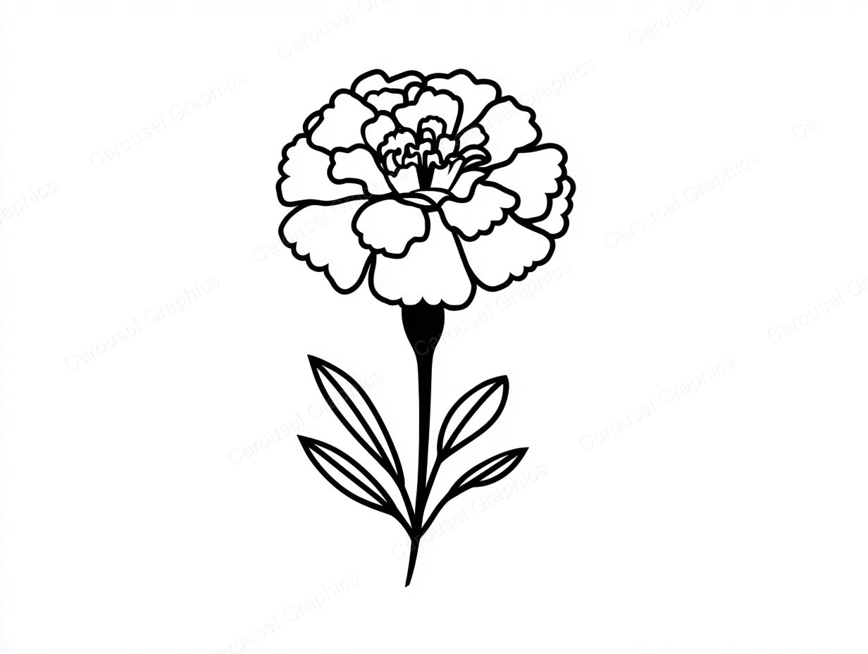 Marigold Vector Graphic preview