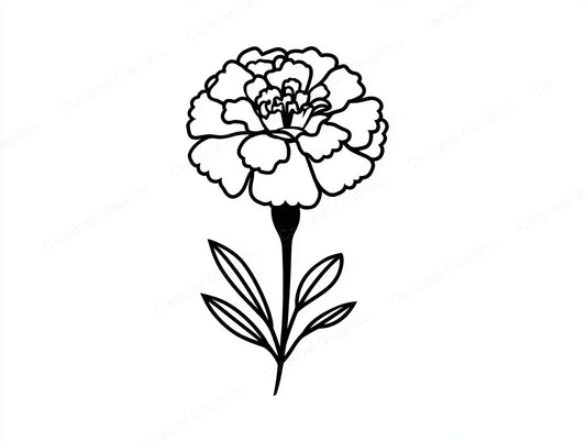 Marigold Vector Graphic preview