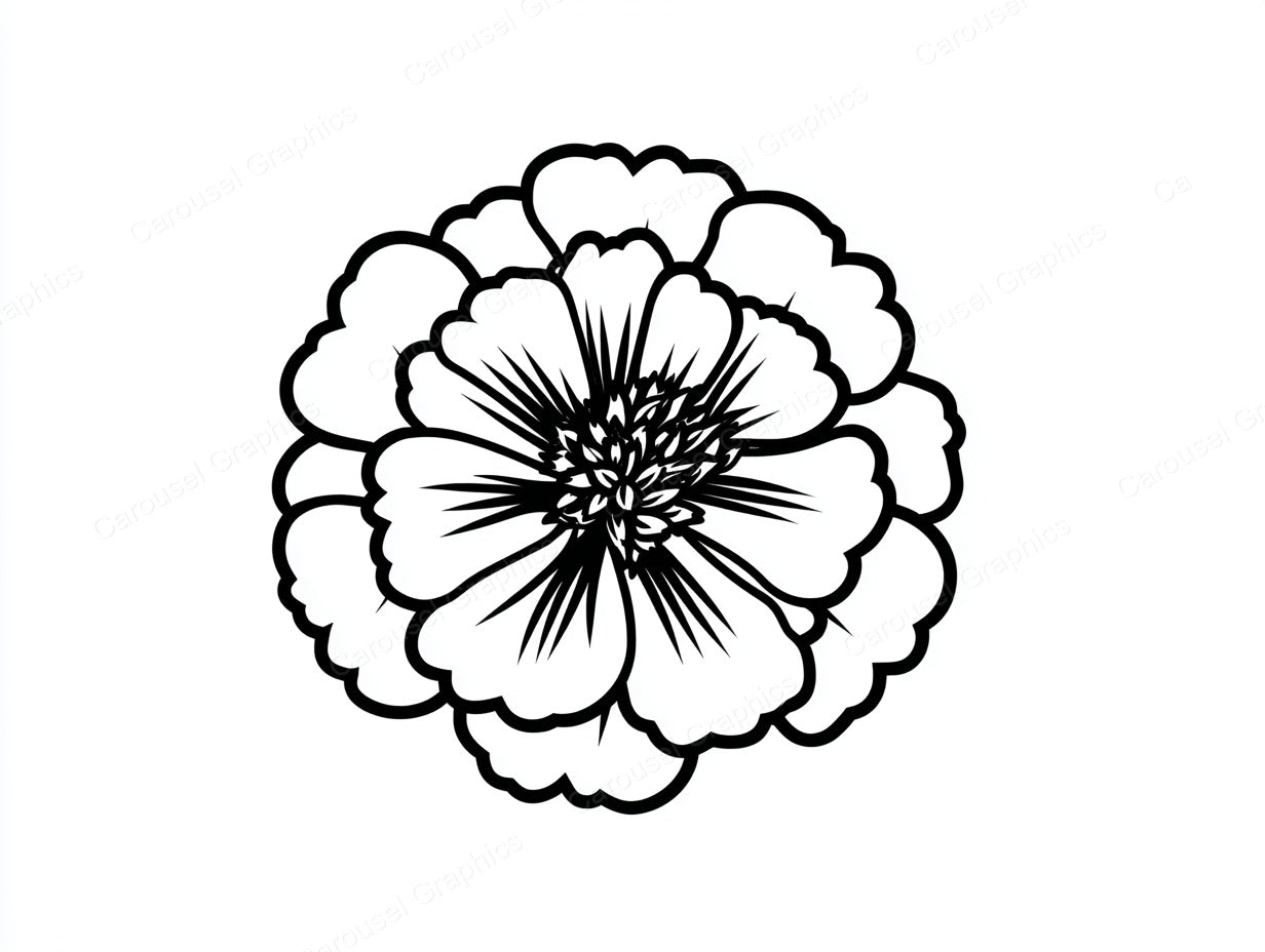 Marigold Vector Graphic preview