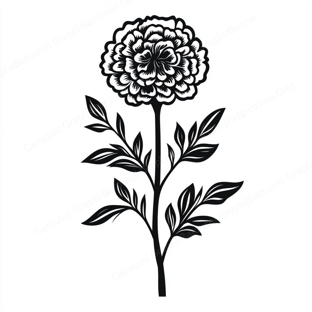 Marigold Vector Graphic preview