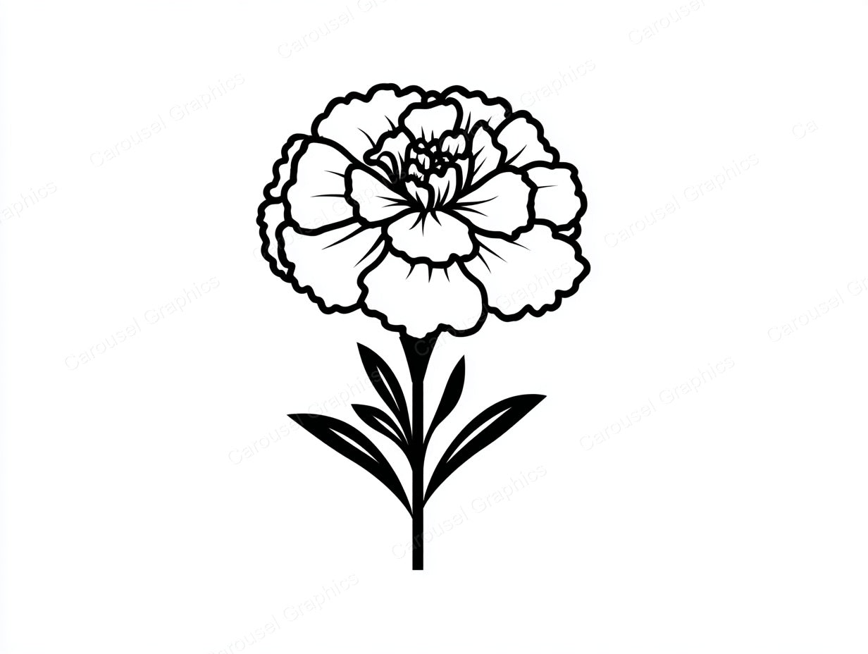 Marigold Vector Graphic preview