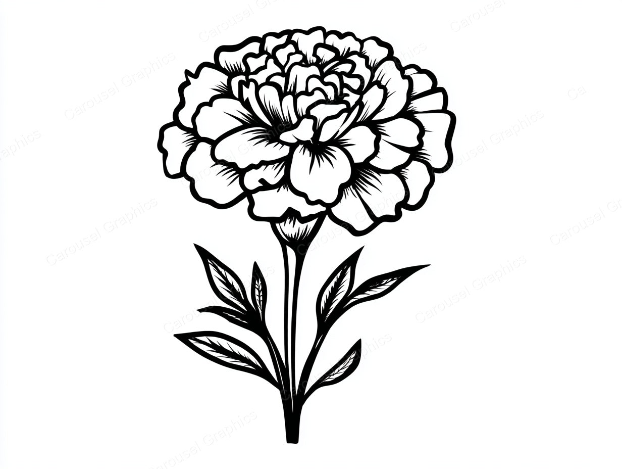 Marigold Vector Graphic preview