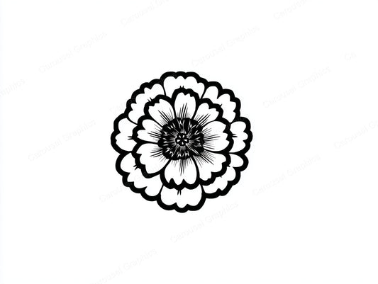 Marigold Vector Graphic preview