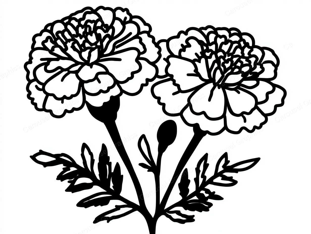 Marigold Vector Graphic preview