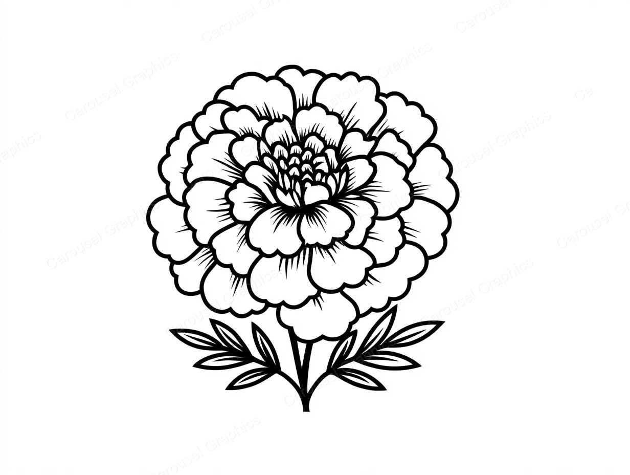 Marigold Vector Graphic preview