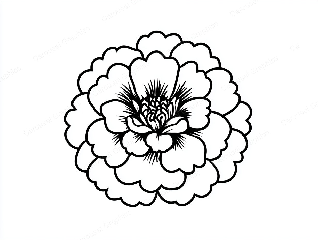 Marigold Vector Graphic preview