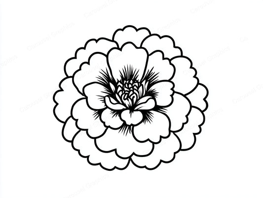 Marigold Vector Graphic preview