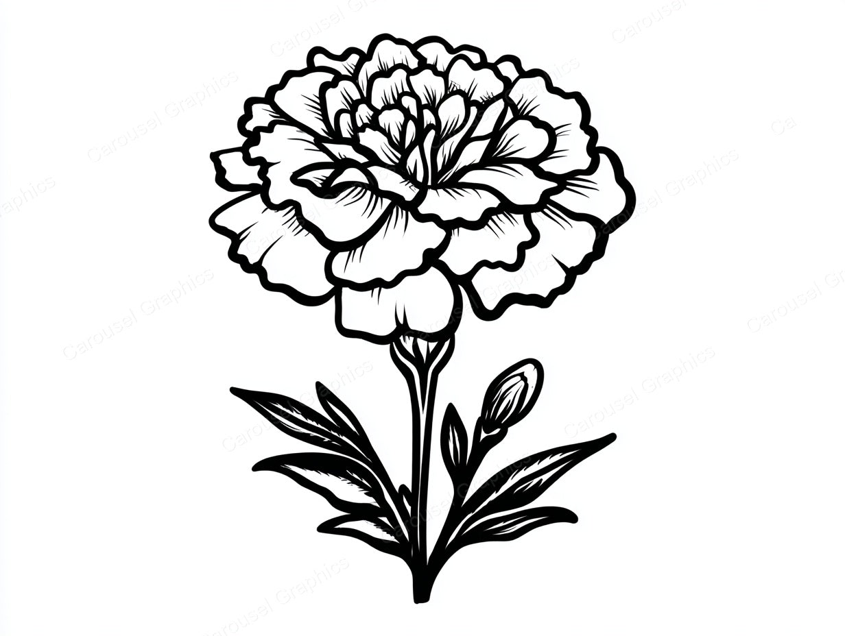 Marigold Vector Graphic preview
