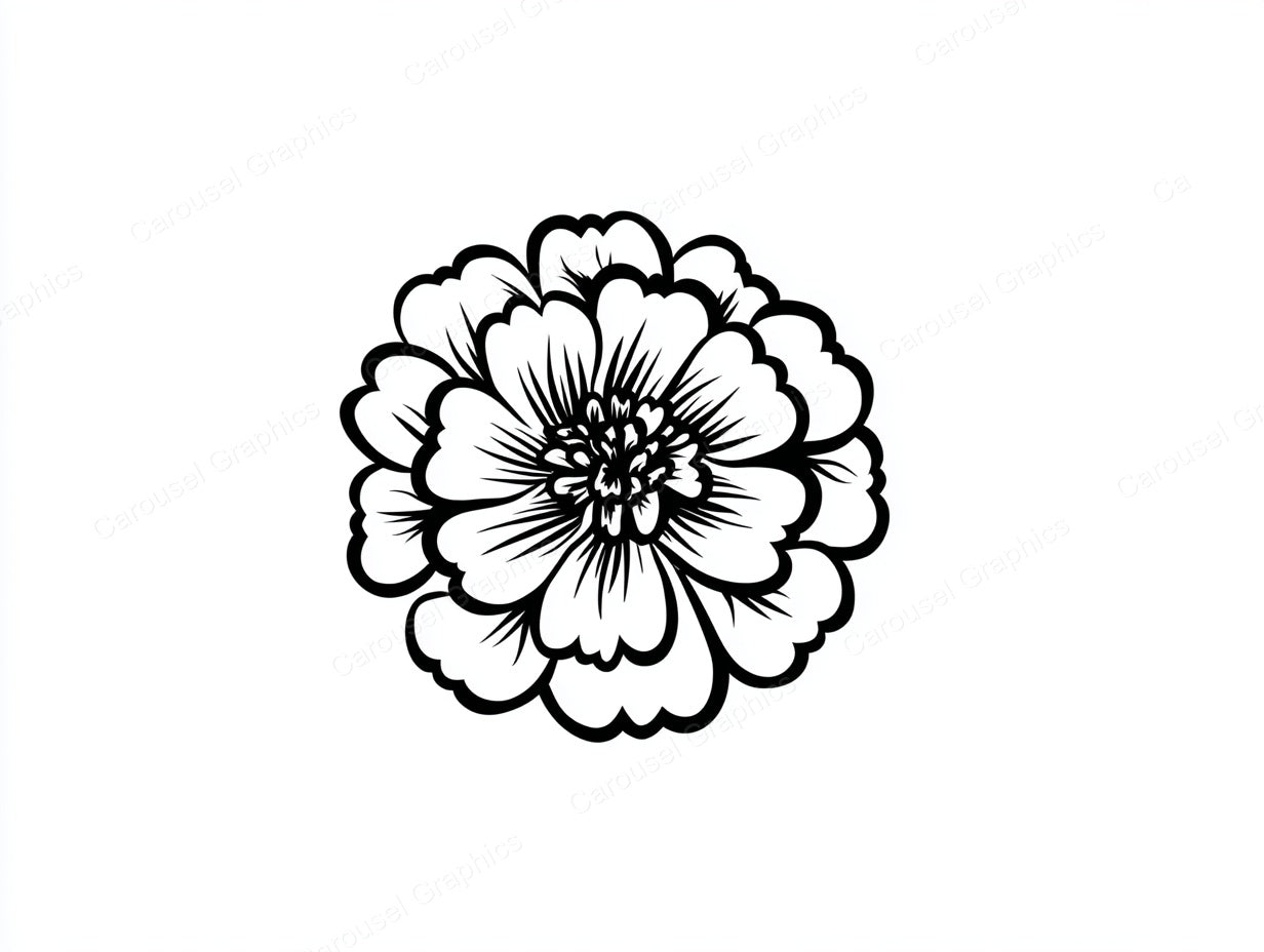 Marigold Vector Graphic preview
