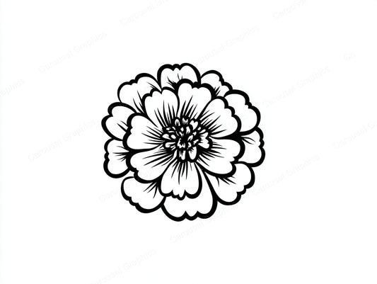 Marigold Vector Graphic preview