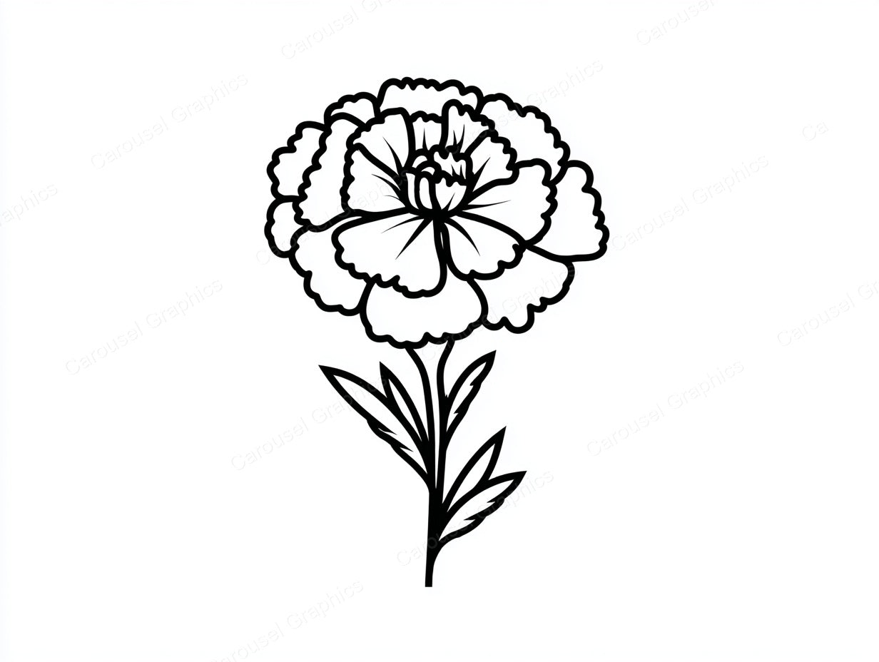 Marigold Vector Graphic preview