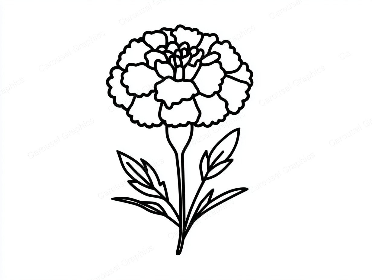 Marigold Vector Graphic preview