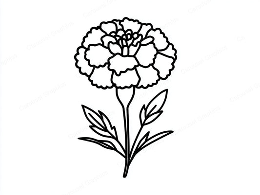 Marigold Vector Graphic preview