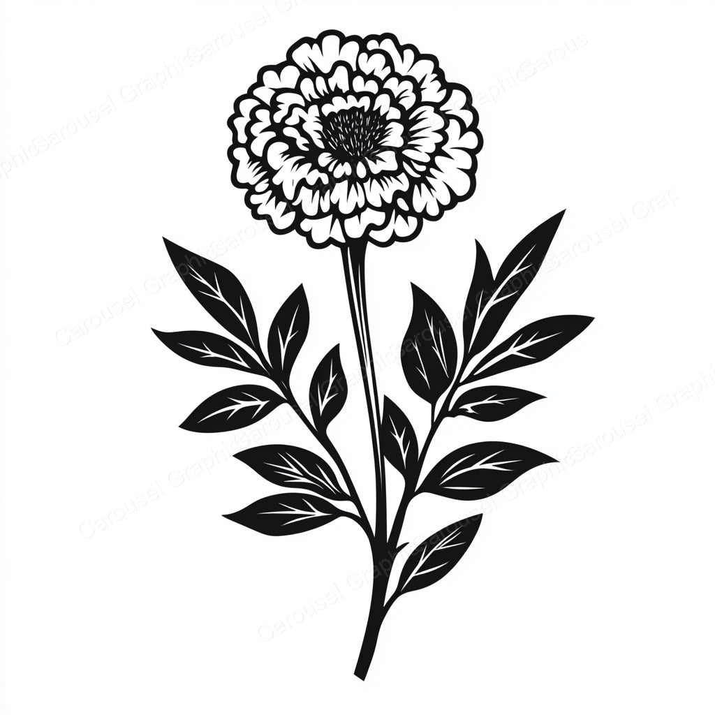 Marigold Vector Graphic preview