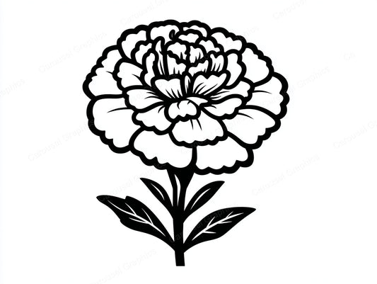 Marigold Vector Graphic preview