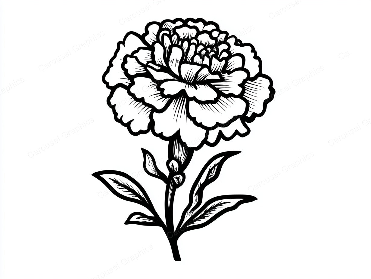 Marigold Vector Graphic preview