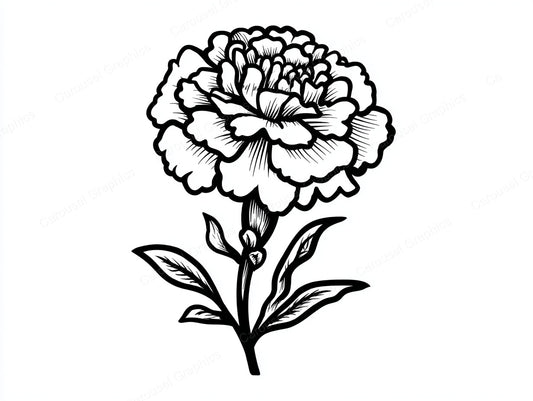 Marigold Vector Graphic preview