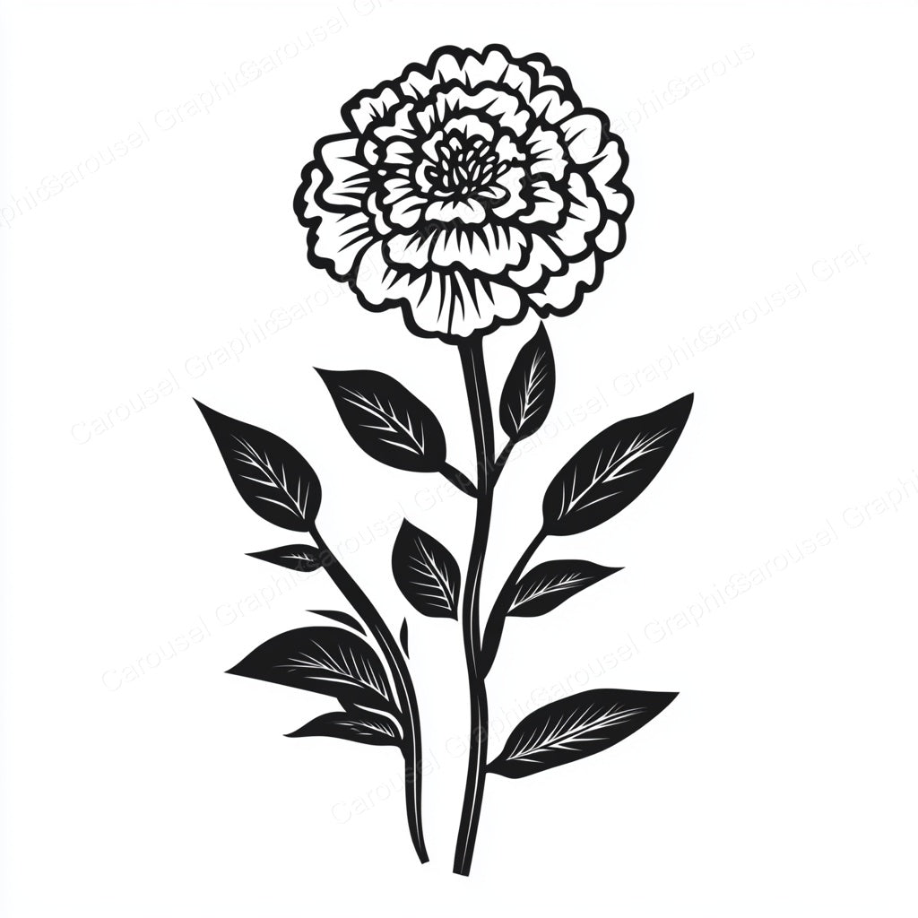 Marigold Vector Graphic preview