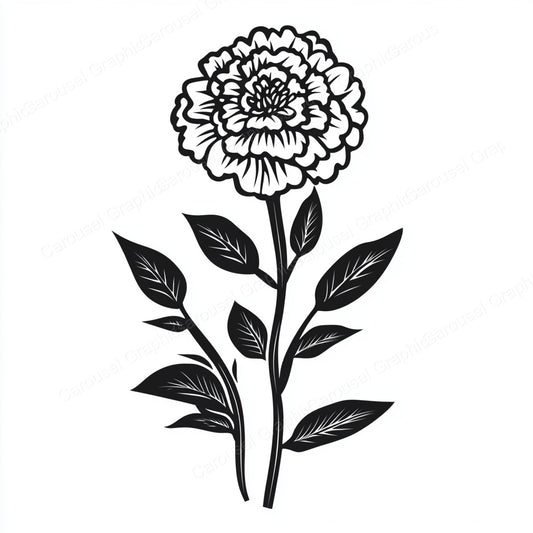 Marigold Vector Graphic preview
