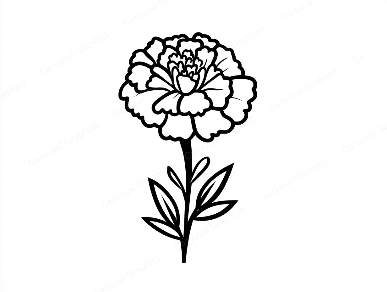 Marigold Vector Graphic preview