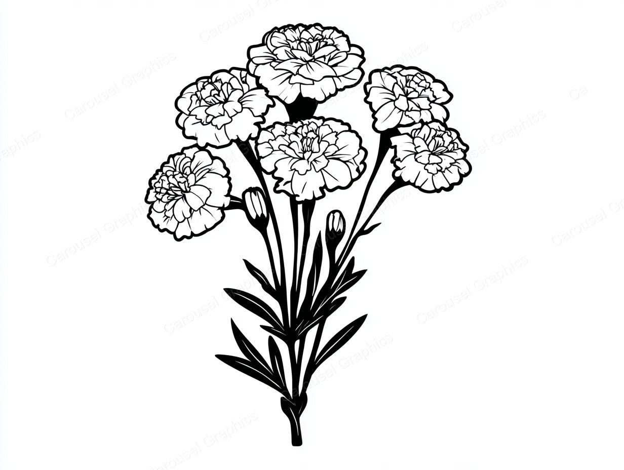 Marigold Vector Graphic preview