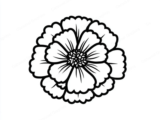 Marigold Vector Graphic preview