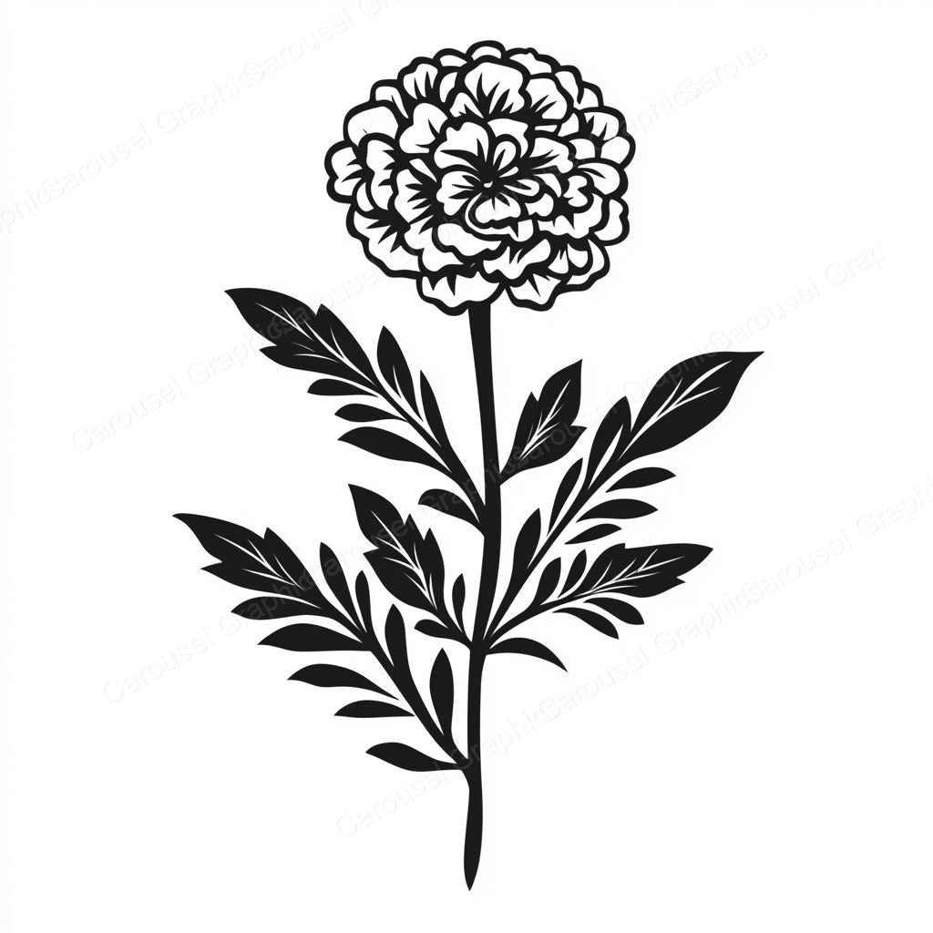 Marigold Vector Graphic preview