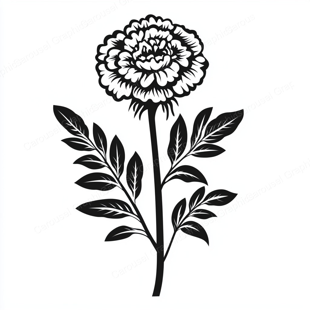 Marigold Vector Graphic preview