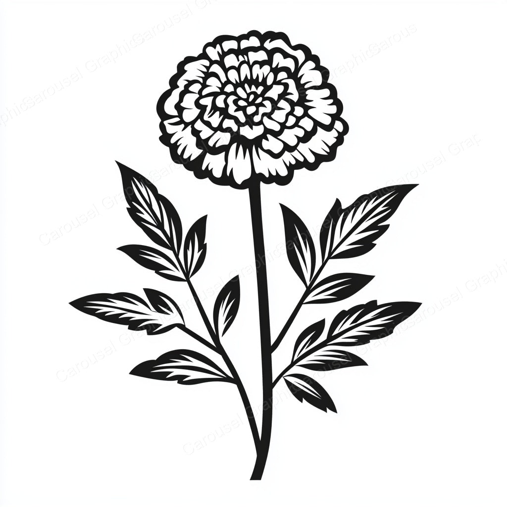 Marigold Vector Graphic preview