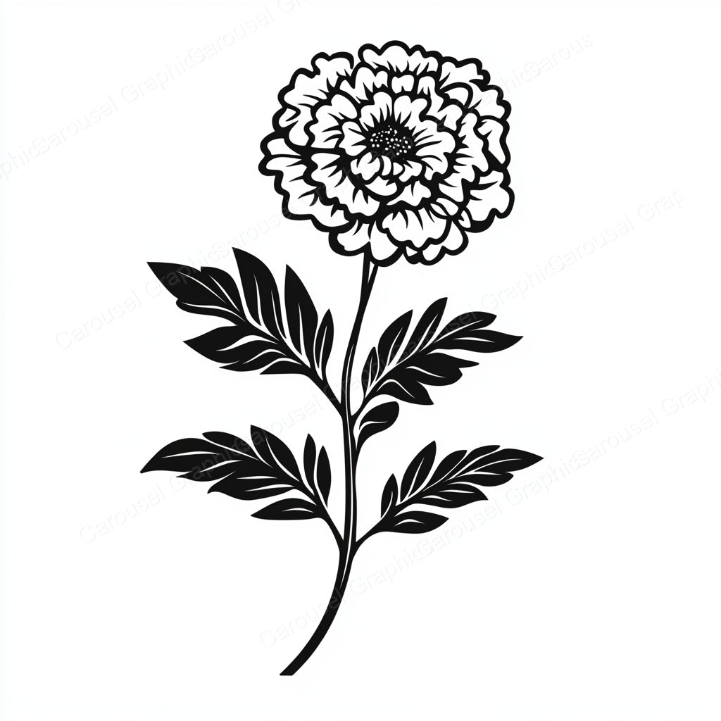 Marigold Vector Graphic preview
