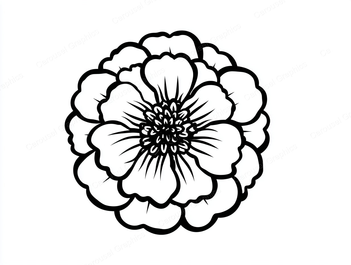 Marigold Vector Graphic preview