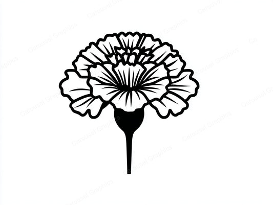 Marigold Vector Graphic preview