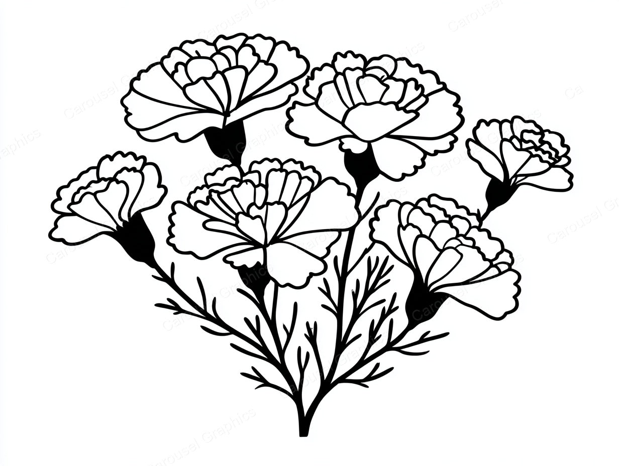 Marigold Vector Graphic preview