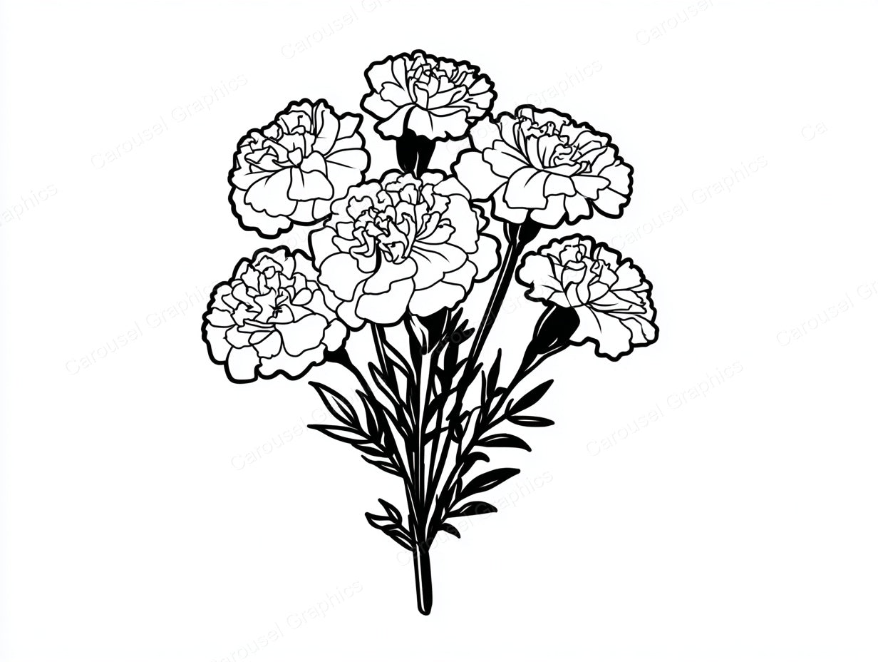 Marigold Vector Graphic preview