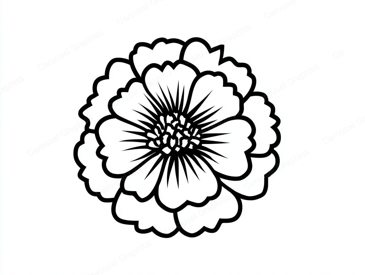 Marigold Vector Graphic preview