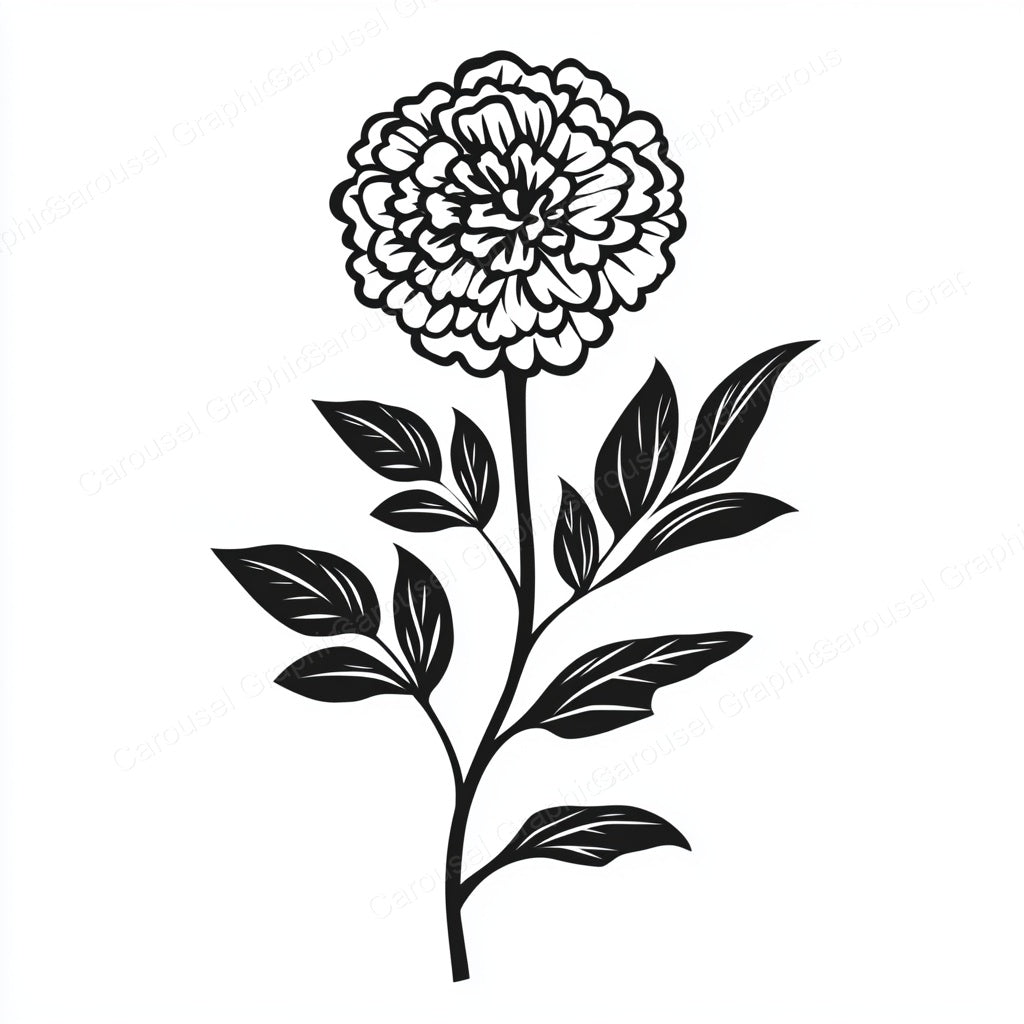 Marigold Vector Graphic preview