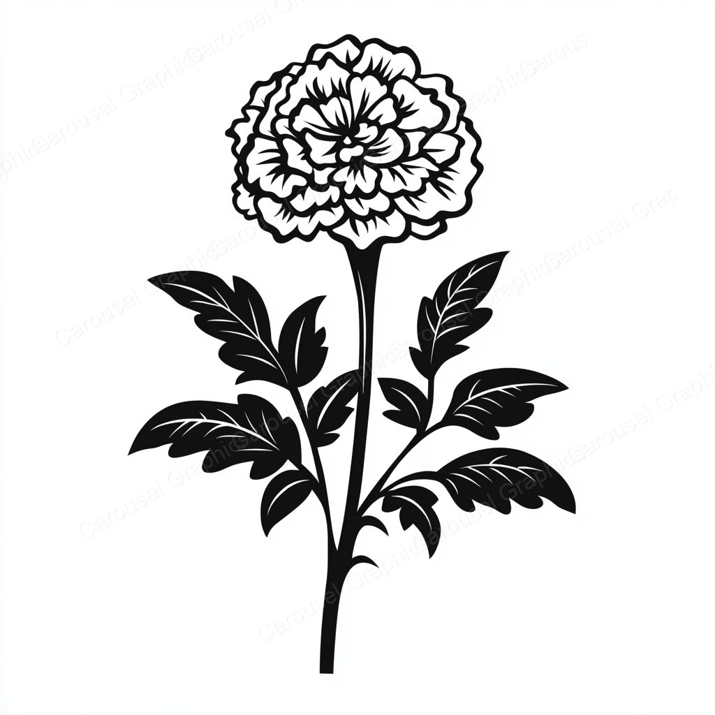 Marigold Vector Graphic preview