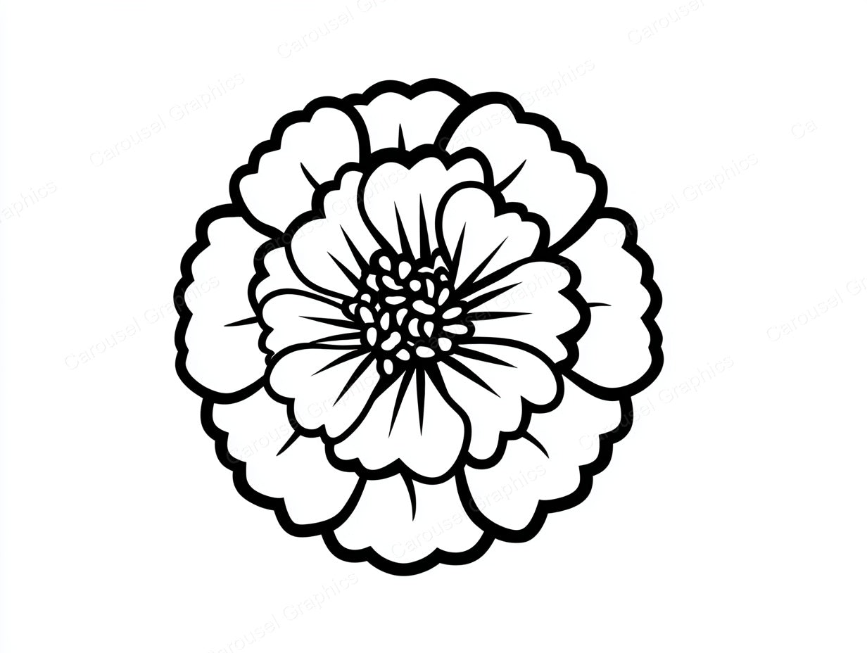 Marigold Vector Graphic preview