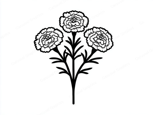 Marigold Vector Graphic preview