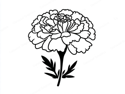 Marigold Vector Graphic preview