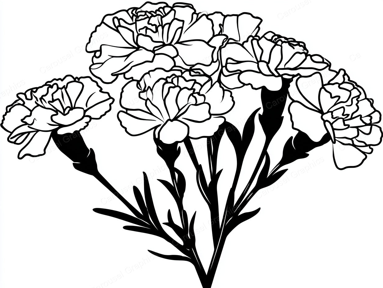 Marigold Vector Graphic preview