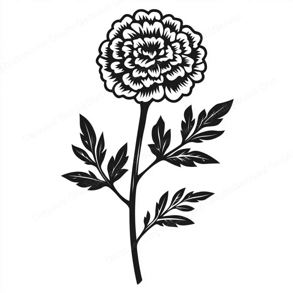 Marigold Vector Graphic preview