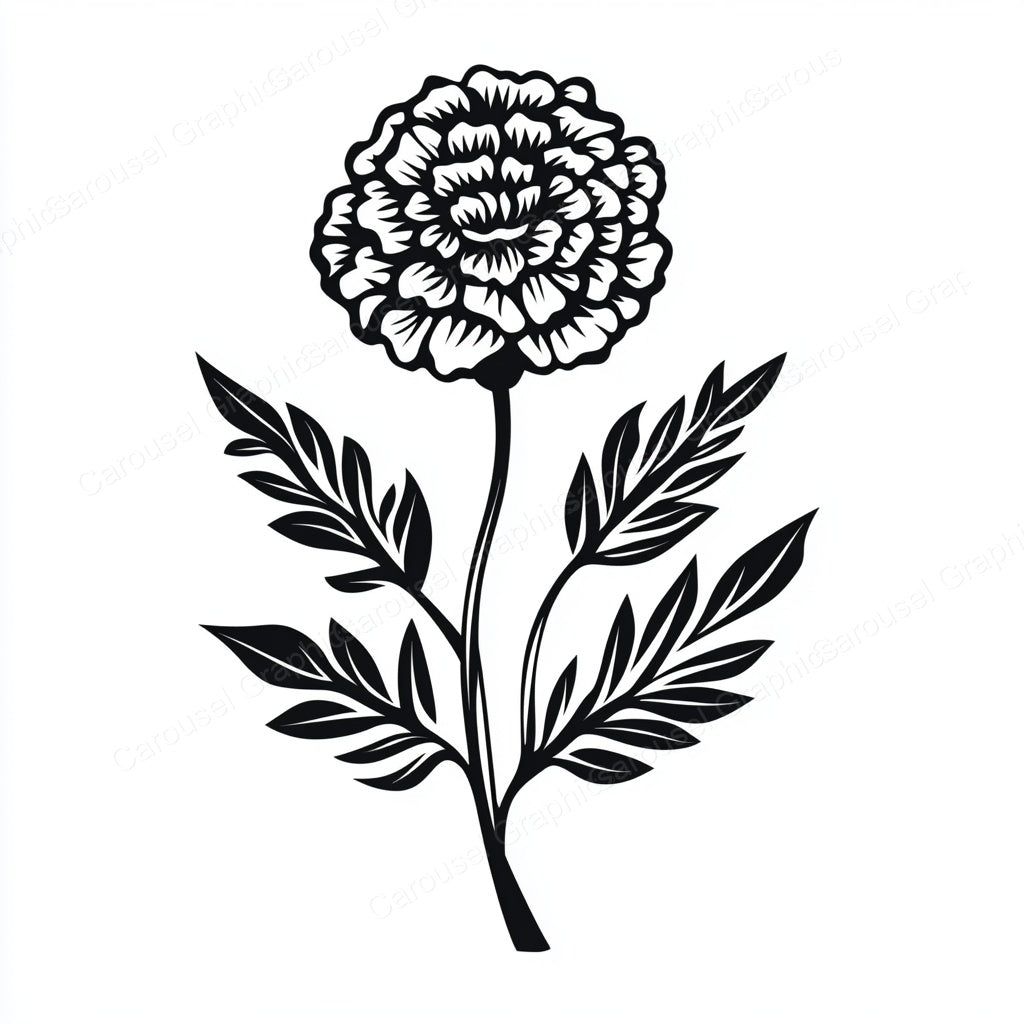 Marigold Vector Graphic preview