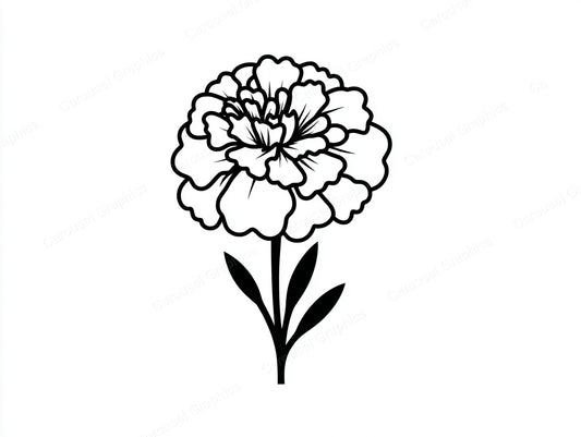 Marigold Vector Graphic preview