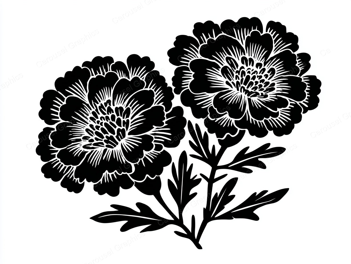 Marigold Vector Graphic preview
