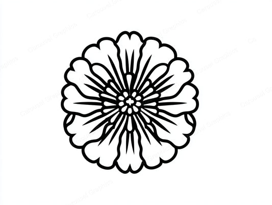 Marigold Vector Graphic preview