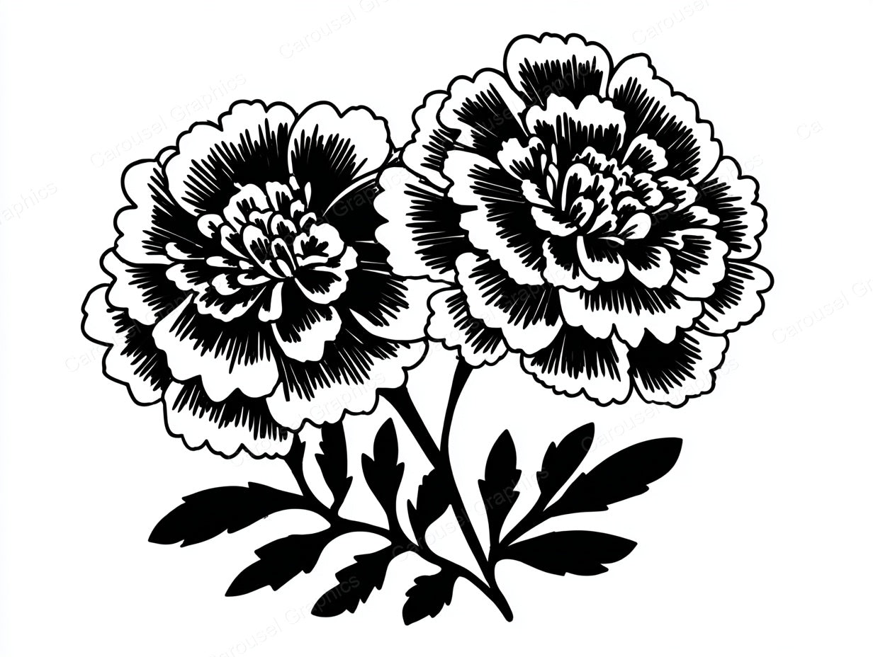 Marigold Vector Graphic preview