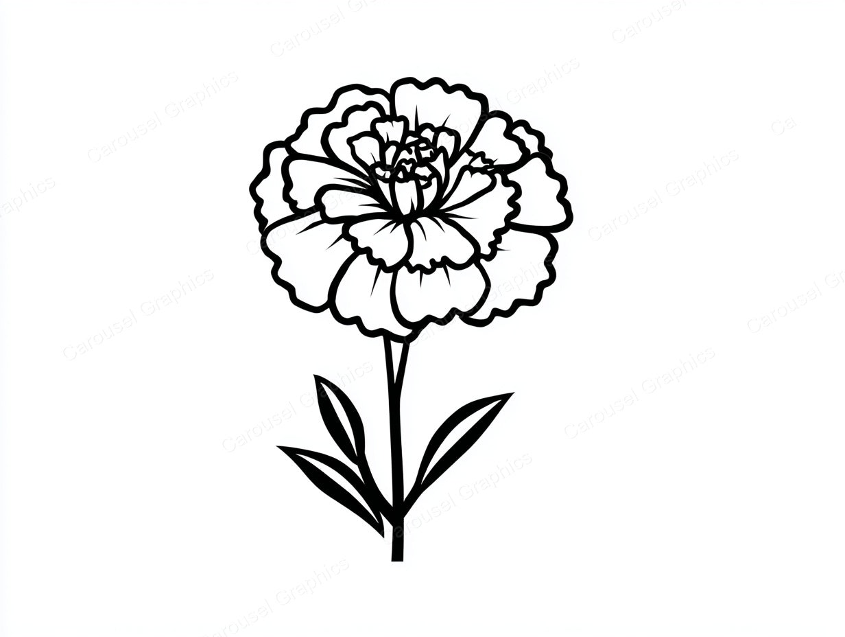 Marigold Vector Graphic preview
